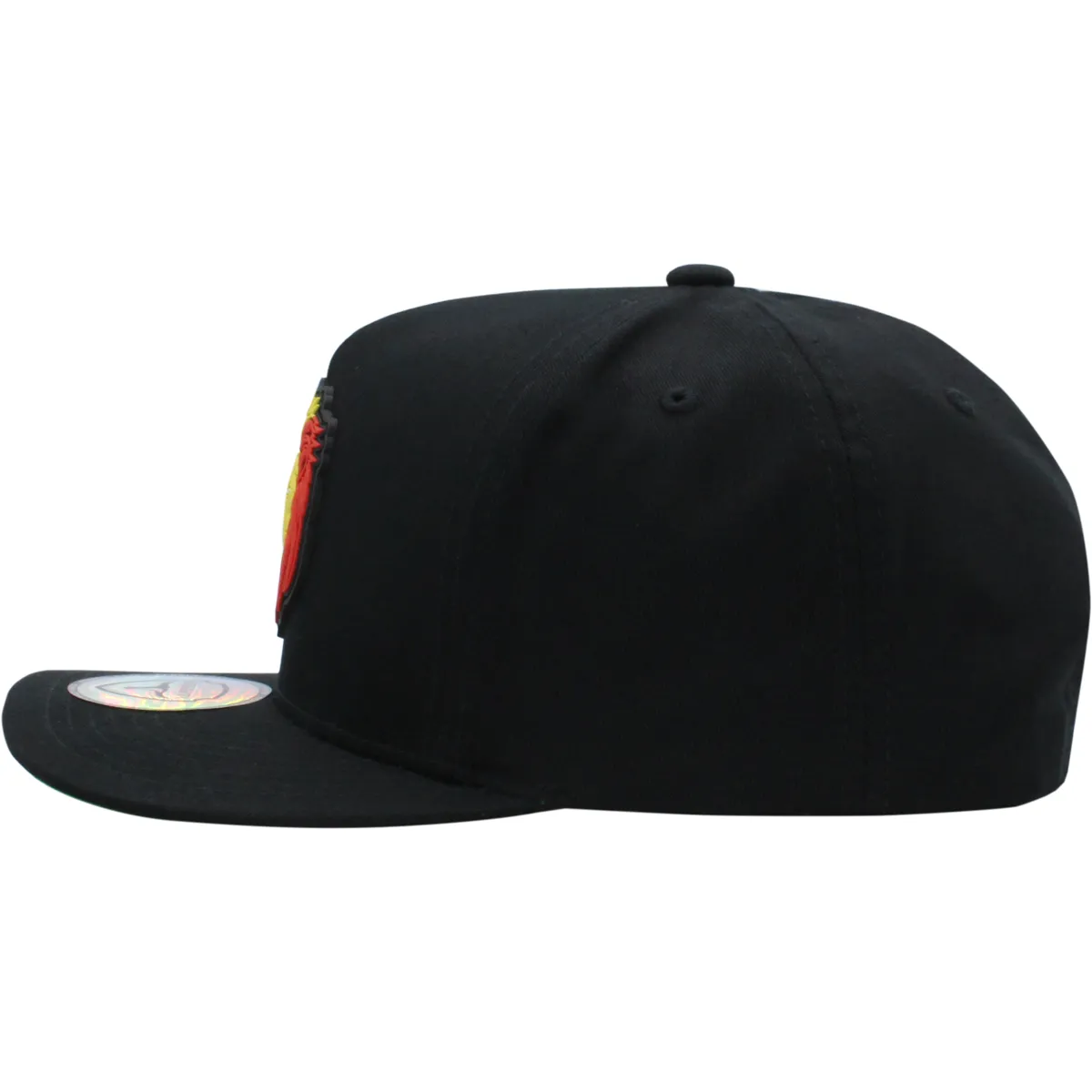 Culiacan MR. Lion Colores PVC Patch Gorra Ferreti