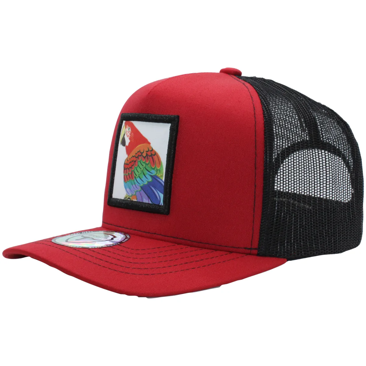 FT-Guacamaya Gorra con Maya Ferreti