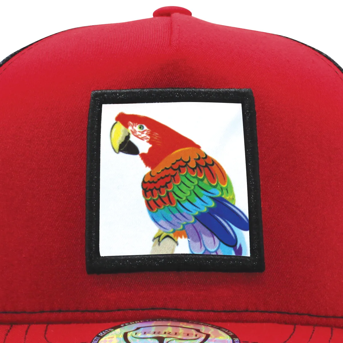 FT-Guacamaya Gorra con Maya Ferreti