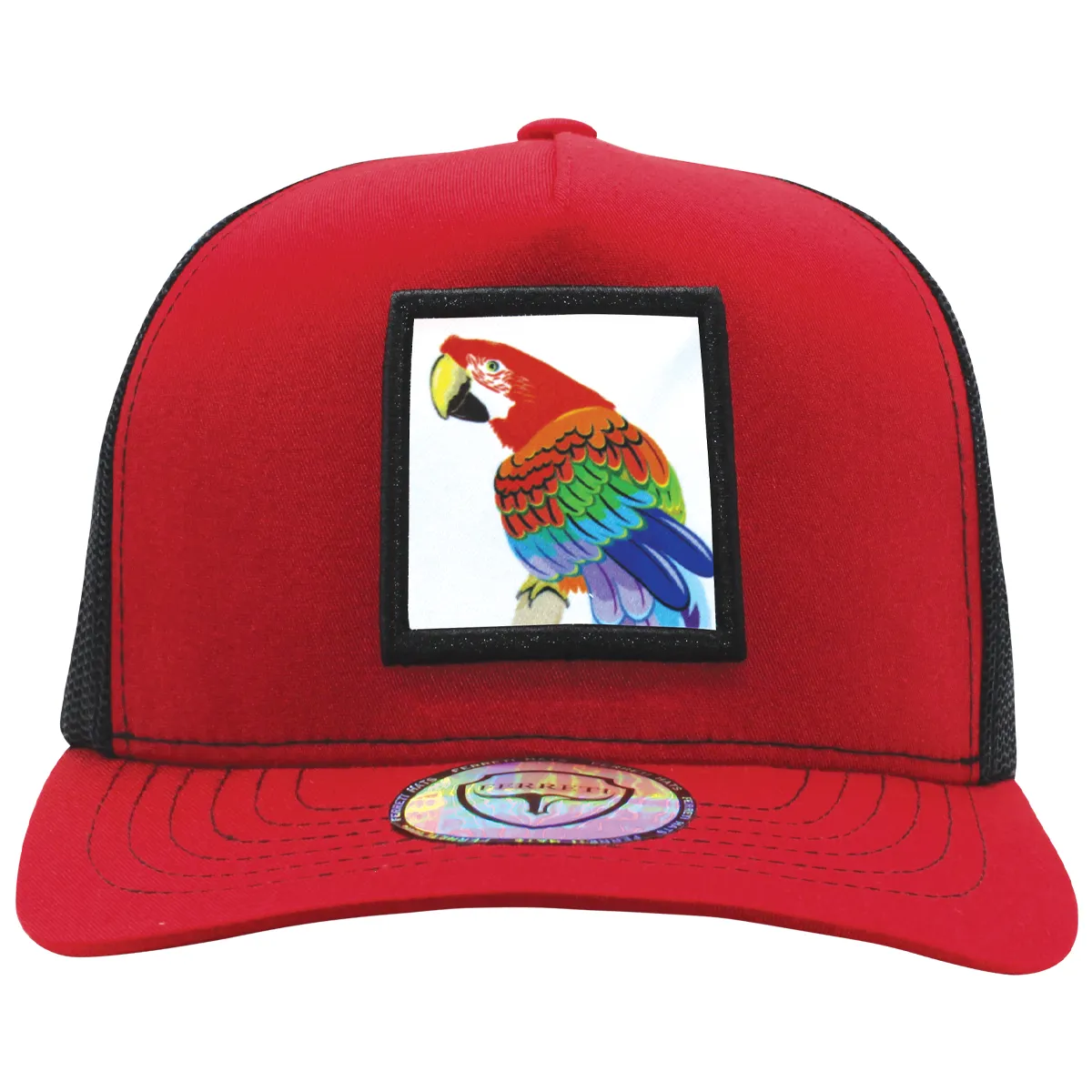 FT-Guacamaya Gorra con Maya Ferreti