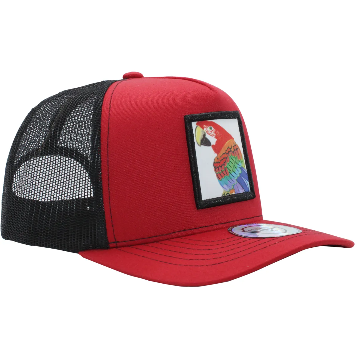 FT-Guacamaya Gorra con Maya Ferreti