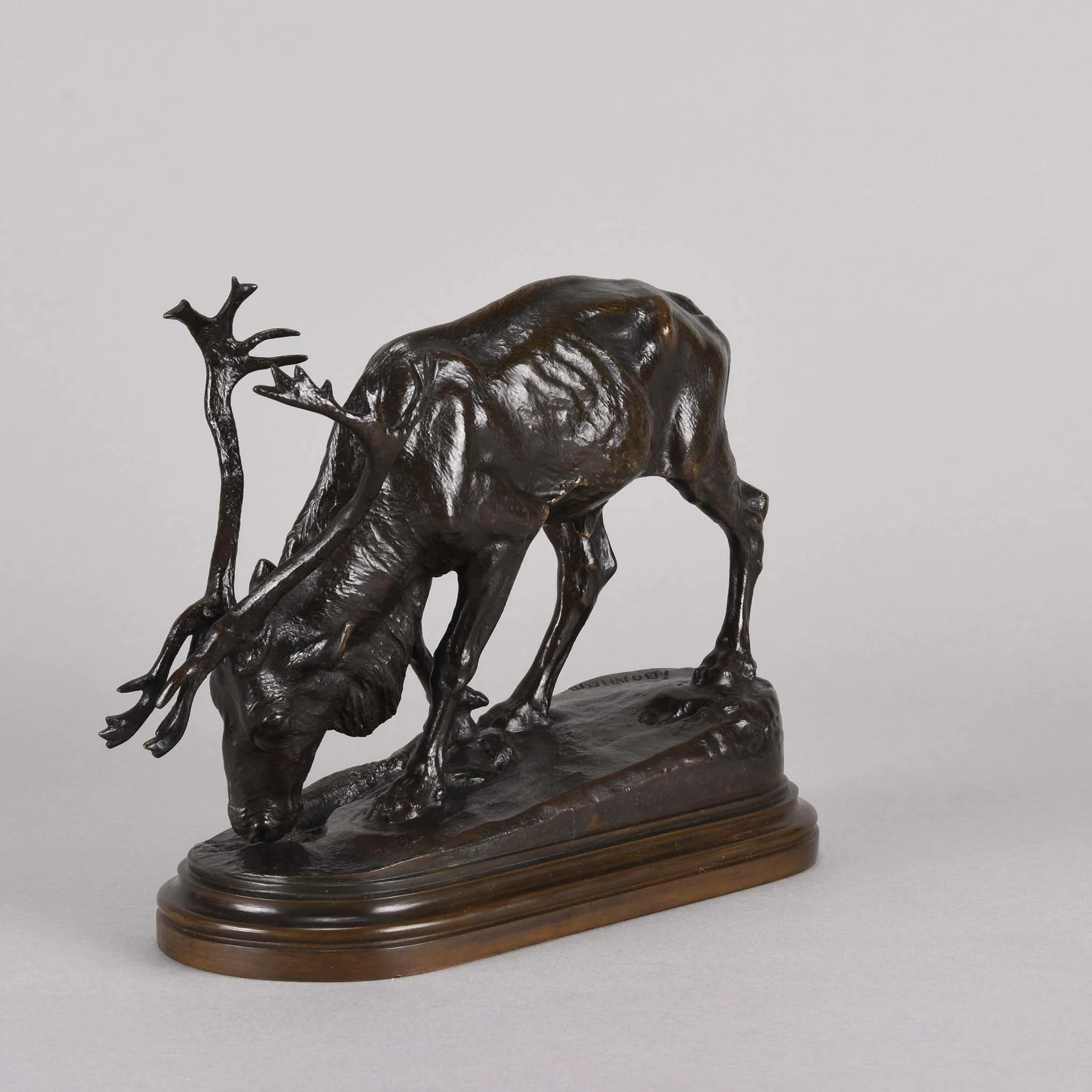 "Reindeer" by Isidore Bonheur