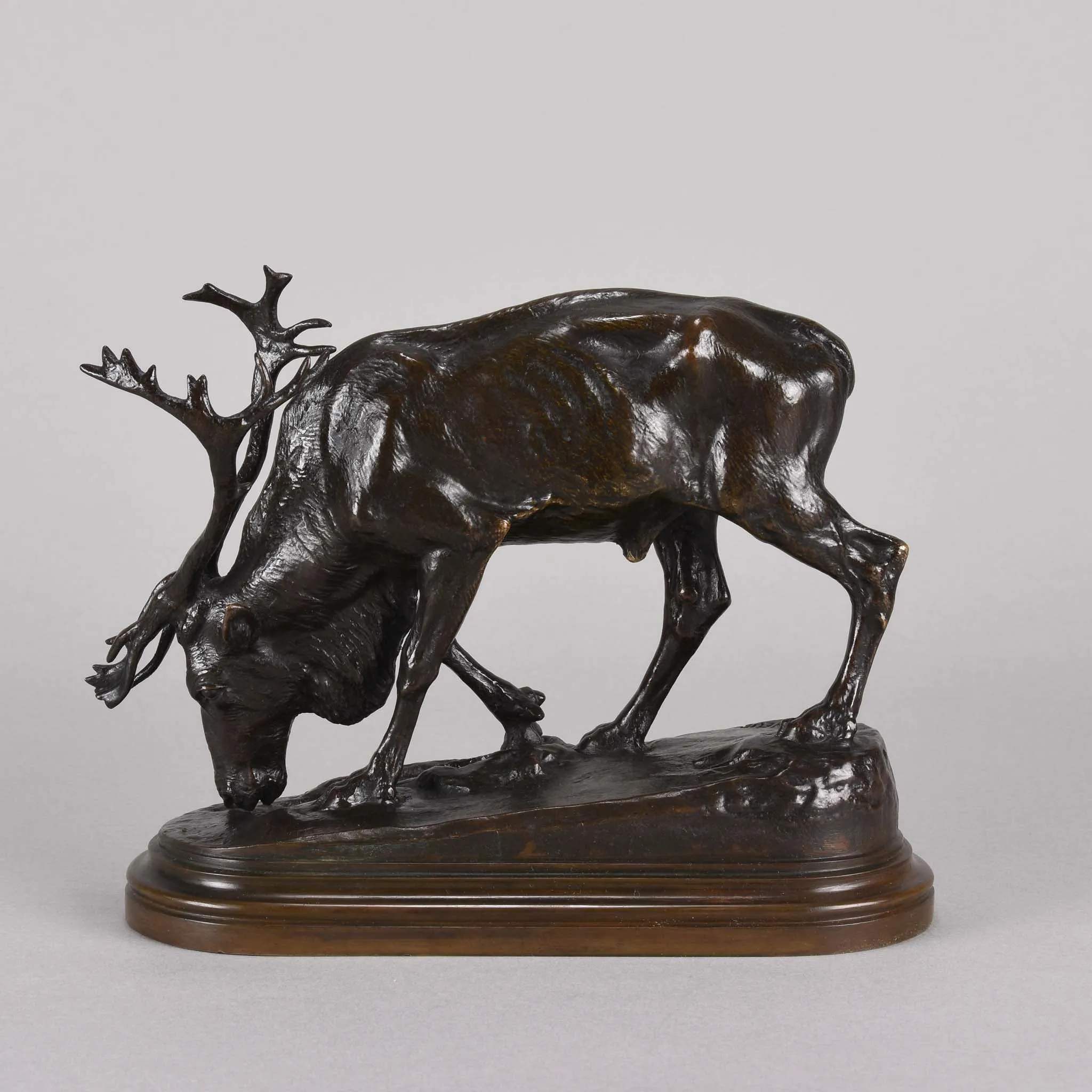 "Reindeer" by Isidore Bonheur