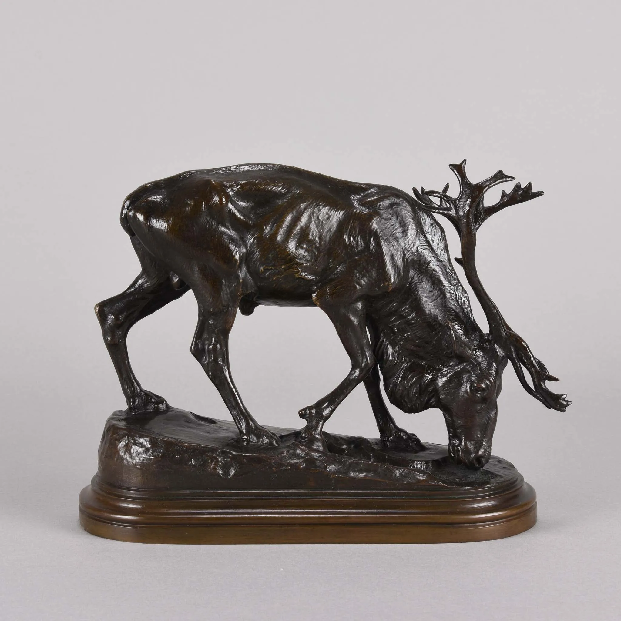 "Reindeer" by Isidore Bonheur